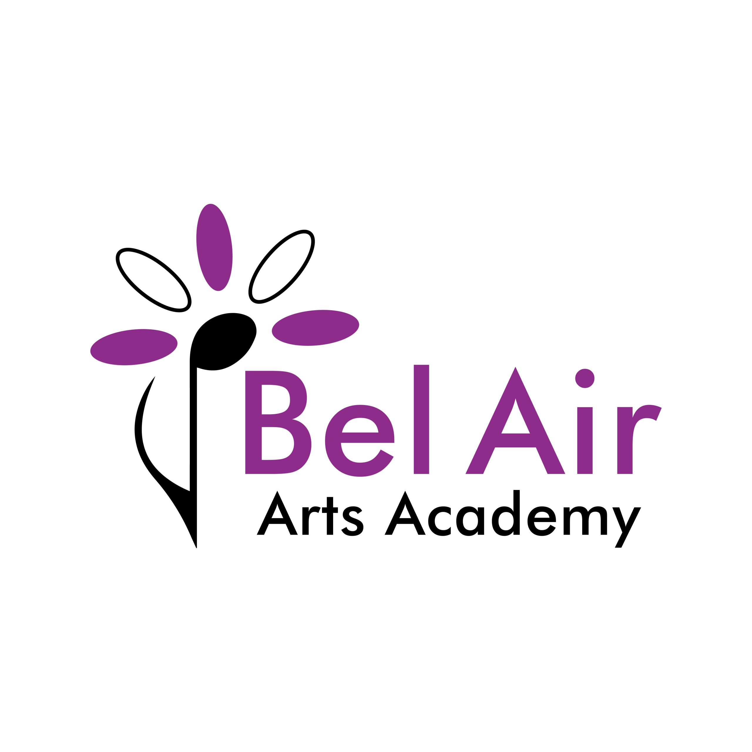 The Bel Air Arts Academy